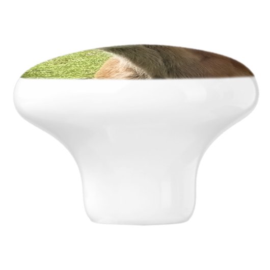 可愛い鳥 セラミックノブ (側面)