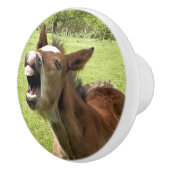 可愛い鳥 セラミックノブ (右)