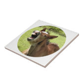 可愛い鳥 タイル (側面)