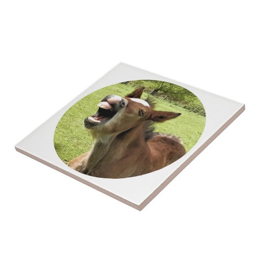 可愛い鳥 タイル (側面)