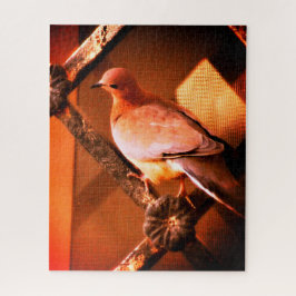 可愛い鳩 ジグソーパズル