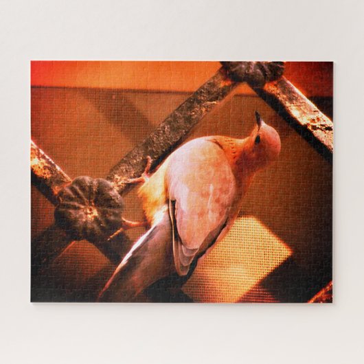 可愛い鳩 ジグソーパズル (横)