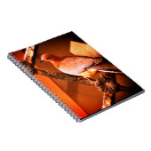 可愛い鳩 ノートブック (右側)