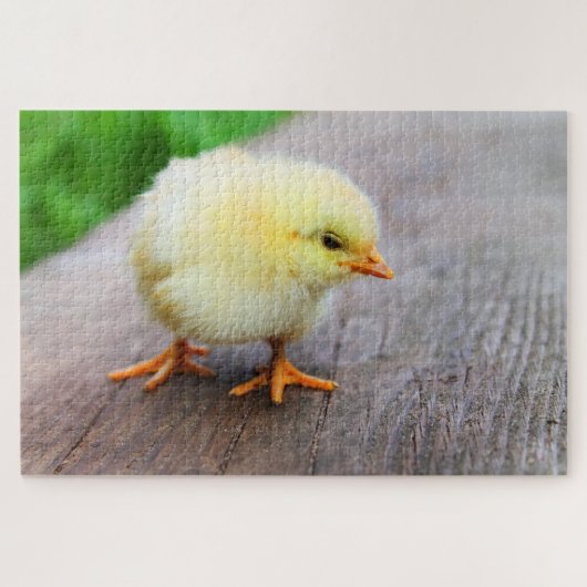 可愛い黄色のひよこ ジグソーパズル (横)