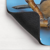 可愛い黒いキャップの《鳥》アメリカゴガラの上に梨の木 マウスパッド (コーナー)