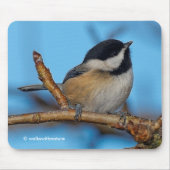 可愛い黒いキャップの《鳥》アメリカゴガラの上に梨の木 マウスパッド (正面)