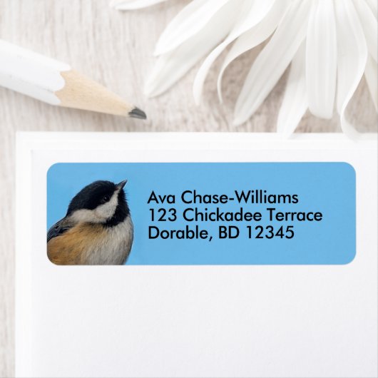 可愛い黒いキャップの《鳥》アメリカゴガラの上に梨の木 ラベル (インサイチュ)