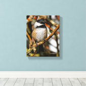 可愛い黒いキャップの《鳥》アメリカゴガラの木 キャンバスプリント (インサイチュ (ウッドフロア))