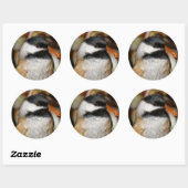 可愛い黒いキャップの《鳥》アメリカゴガラの木 ラウンドシール (シート)