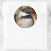 可愛い黒いキャップの《鳥》アメリカゴガラの木 ラウンドシール (バッグ)