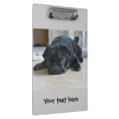 可愛い黒いパグパピーのクリップボード クリップボード (右)