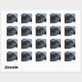 可愛い黒いパグ子犬のアクセサリー名をパーソナライズ スクエアシール (シート)