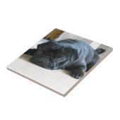 可愛い黒いパグ子犬のアクセサリー名をパーソナライズ タイル (側面)