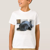 可愛い黒いパグ子犬のアクセサリー名をパーソナライズ Tシャツ (正面)