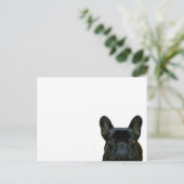 可愛い黒いフランスのブルドッグのフランス写真： ポストカード (スタンド正面)