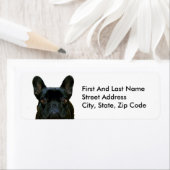 可愛い黒いフランスのブルドッグのフランス写真: ラベル (インサイチュ)