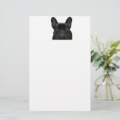 可愛い黒いフランスのブルドッグのフランス写真： 便箋 (スタンド正面)
