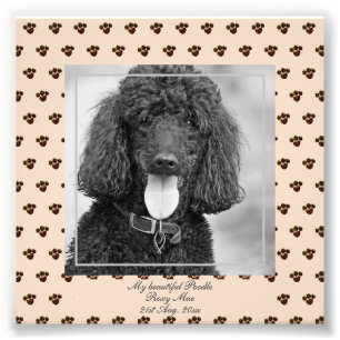 可愛い黒いプードル犬の写真:Keepsake フォトプリント