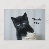 可愛い黒い子猫トウェイン写真ありがとう ポストカード (正面)