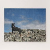 可愛い黒犬ムットラボShefried写真写真 ジグソーパズル (横)