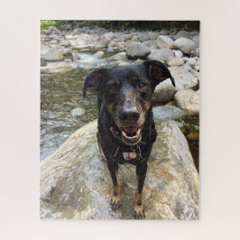 可愛い黒犬ラボ羊飼い犬の自然撮影 ジグソーパズル