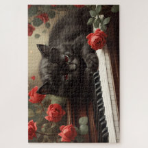 可愛い黒猫がピアノに寝ている