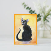 可愛い黒猫や子猫はがき ポストカード (スタンド正面)