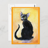 可愛い黒猫や子猫はがき ポストカード (正面/裏面)