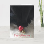 可愛い黒猫マイオウィクリスマスペットホリデーカード シーズンカード (正面)