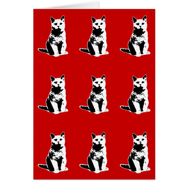 可愛い黒猫 (正面)