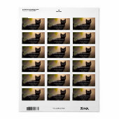 可愛い黒猫AIフォトスタイル ラベル (フルシート)