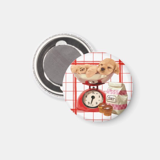 可愛い2ポンド マグネット (正面/裏面)