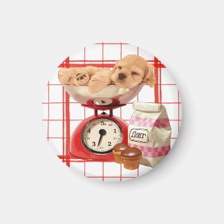 可愛い2ポンド マグネット