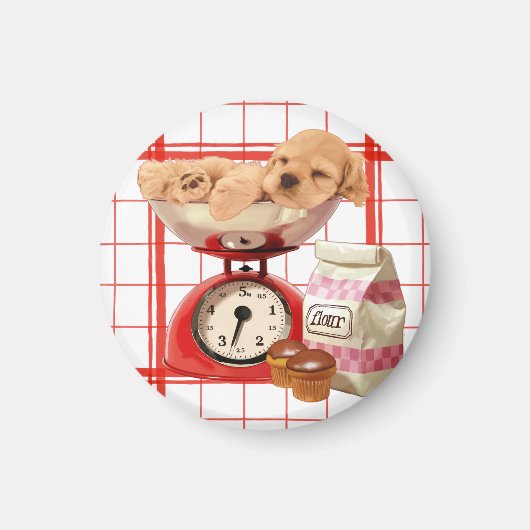 可愛い2ポンド マグネット (正面)