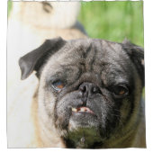 可愛い シャワーカーテン (正面)