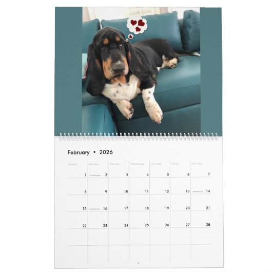 可愛い"スパイクthe Basset 2023" 2ページ大カレンダー カレンダー (2月 2026)