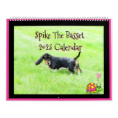 可愛い"スパイクthe Basset 2023" 2ページ大カレンダー カレンダー (カバー)