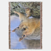 可愛い スローブランケット (正面縦)