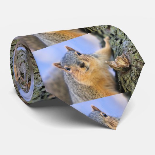 可愛い ネクタイ (ロール)