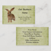 可愛い – フロッピーバニー – ビズカード 名刺 (正面/裏面)