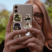 可愛い/ラクーンおもしろいティクトックミームパックのシールバンドル シール