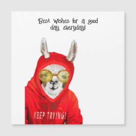 可愛い、親切な、おもしろいマラマ保、磁気を試す