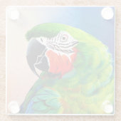 可愛いAIがアマゾンオウムを生成 ガラスコースター (裏面)