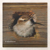 可愛いAirbnbモーメントベウィックのウォレンinネスボックス ガラスコースター (正面)