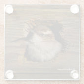 可愛いAirbnbモーメントベウィックのウォレンinネスボックス ガラスコースター (裏面)