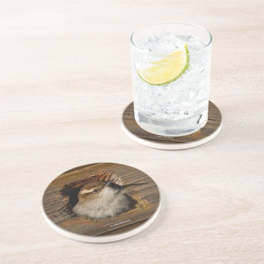 可愛いAirbnbモーメントベウィックのウォレンinネスボックス コースター (側面)