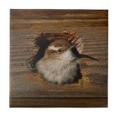 可愛いAirbnbモーメントベウィックのウォレンinネスボックス タイル (正面)