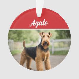 可愛いAiredale Terrier Dogホリデークリスマスフォト オーナメント