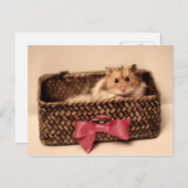 可愛いPetL0veはがき ポストカード (正面/裏面)