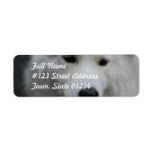 可愛いSamoyed宛名ラベル ラベル (正面)